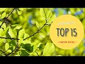 TOP 15 PERFUMES NICHO PARA PRIMAVERA: Mis 15 recomendaciones ☘️🌿☀️🔝