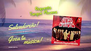 Video thumbnail of "Luna de Xelaju - Orquesta Sangre Morena"