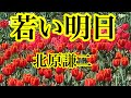 北原謙二/若い明日