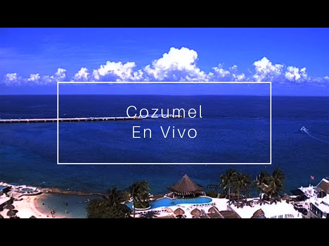 Cozumel, Quintana Roo En Vivo | Vista de la Playa desde Grand Park Royal Cozumel