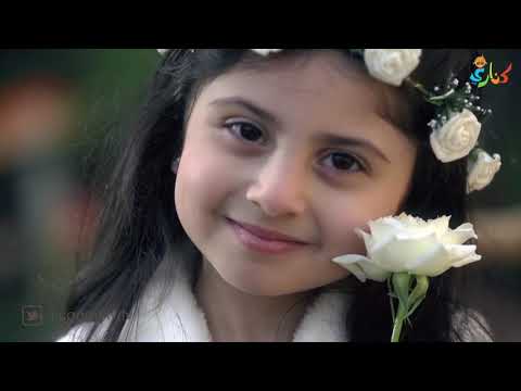 وردة بيضا ريماس العزاوي 