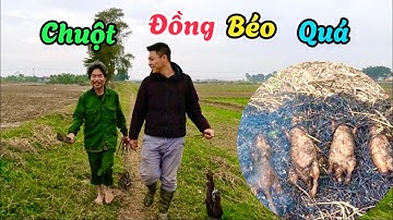 Bẫy Chuột Về Nướng Ngày Mưa Rét, Bác Thông Bẫy Chuột Đỉnh Quá | Survival In The Field | HUY ANH TV