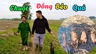 Bẫy Chuột Về Nướng Ngày Mưa Rét, Bác Thông Bẫy Chuột Đỉnh Quá | Survival In The Field | HUY ANH TV