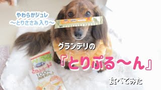 グランデリが好きなカニンヘンダックスフンド