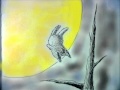 กระต่ายอ้อนจันทร์ / กระต่ายขาว ดาวรุ่ง