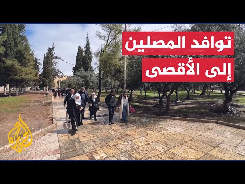 رغم الأمطار وحواجز الاحتلال.. توافد فلسطينيين إلى المسجد الأقصى