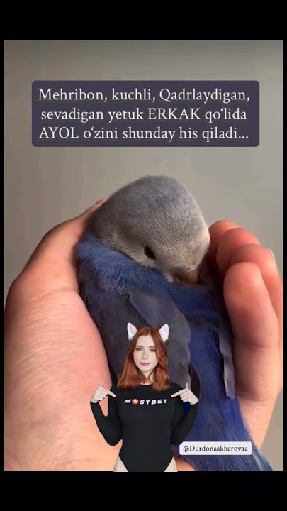 Keksa erkaklar uchun porno rasmlar