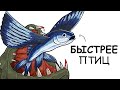 Ты – Летучая рыба (И ЭТО ВСЯ ТВОЯ ЖИЗНЬ)