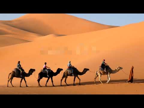 شيلة  يانديم  مسرع || 2024