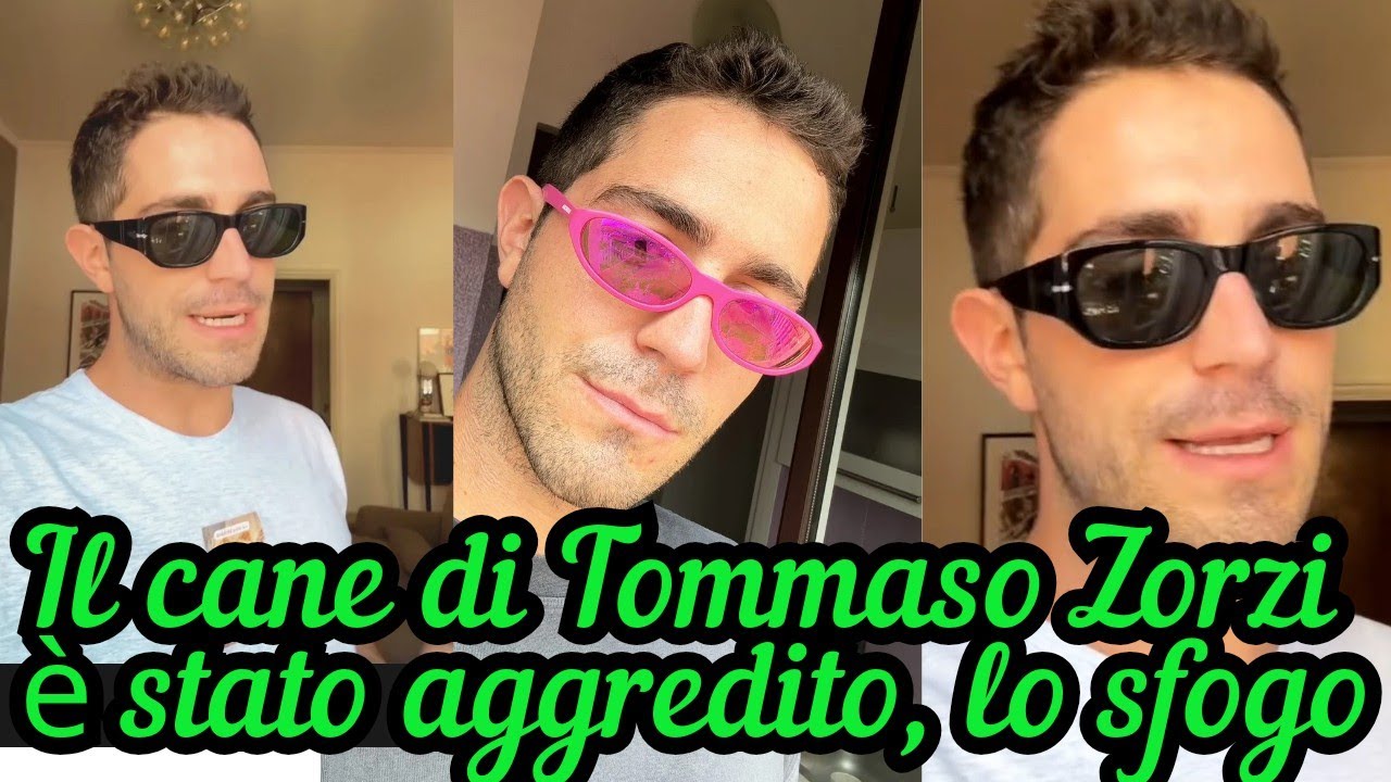 il cane di TOMMASO ZORZI aggredito al parco. Lo sfogo del vip