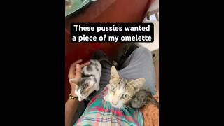 Favourite Moments Of The Day In Goa Cafés