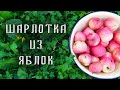 Шарлотка с яблоками в духовке 🍎 Простой рецепт