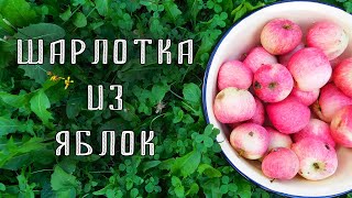 Шарлотка с яблоками в духовке 🍎 Простой рецепт