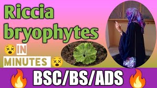 Riccia || Bryophyte | Life cycle| complete