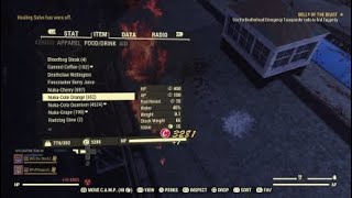 1v1 With R3TRO Beamz | Fallout76 PvP