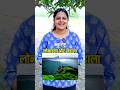 hill statio #shorts#viralvideo #trending #viralshort #viral #himanchalpradesh #utrrakhand #pachmadi
