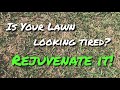 Lawn Rejuvenation Part 1of4 - Dethatching