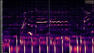 Talk of the Town - The Pretenders - Spectrum Analysis screenshot 4