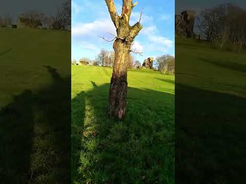 الناس عبيد الدنيا والدين لعق على اللسنتهم جاكم البلا حتى تخرصوا منافقين 