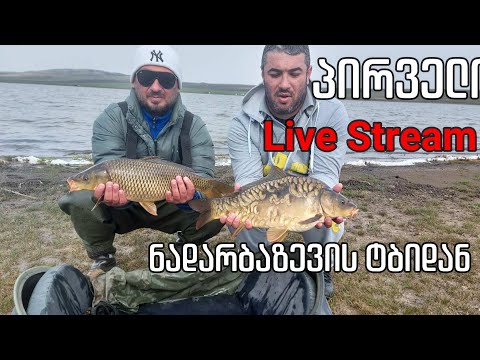 ჩემპიონატის I ტური - 24 საათის შეჯამება