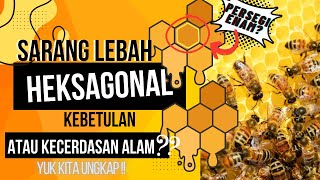 Mengungkap Alasan Bentuk Sarang Lebah yang Unik!