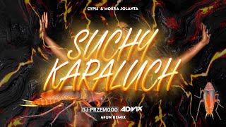 Cypis & Mokra Jolanta - Suchy Karaluch (Dj Przemooo & Adivix 4fun Remix)