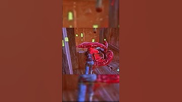 Dbd Being Dbd #dbd #dbdshorts #deadbydaylight #dbdclips #dbdmemes #shorts