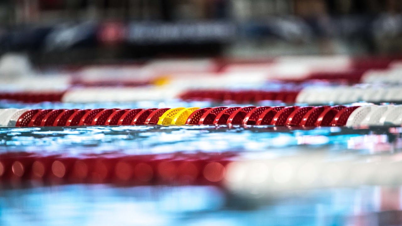 Gator Swim Club Eastern Zone Swimming Speedo Sectional Meet YouTube