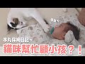 【小貓奴養成記EP5】貓咪保姆上工！連本丸都崩潰⋯