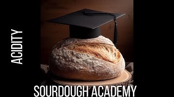 Sourdough Academy - Acidity