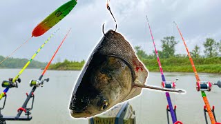 Fishing River Creeks In A Downpour Rain Storm With Big Baits!!! (They Were Loaded!!)