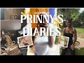 im backk🥳 | ep019 | Prinny’s Diaries