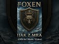 Voják z mrazu #foxen #ceskahudba #hudba #music #czechmetal #epicmusic