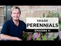 Perennials 3  plants for shade  faq garden home vlog 2019 4k