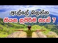 7 Awesome Things To Do in Ella , Sri Lanka  - ඇල්ලේ බලන්න තියන සුපිරිම තැන්