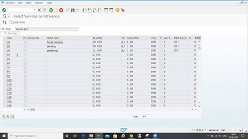 SES RELEASE STRATEGY