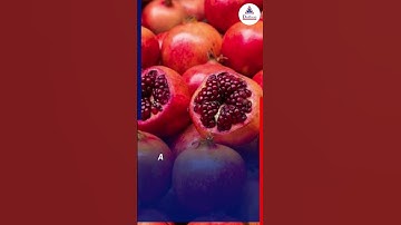 News Bulletin #dailynews #news #newsupdate #currentaffairs #thedhronas