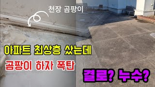 아파트 탑층 샀는데 곰팡이가 잔뜩?”… 옥상 누수? 결로? 하자담보 책임 묻는다!