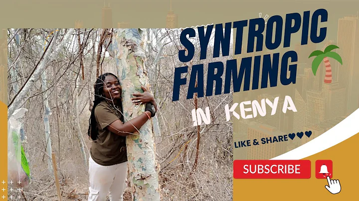 Syntropic Farming in Kenya