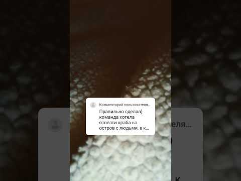 6 октября 2024 г.