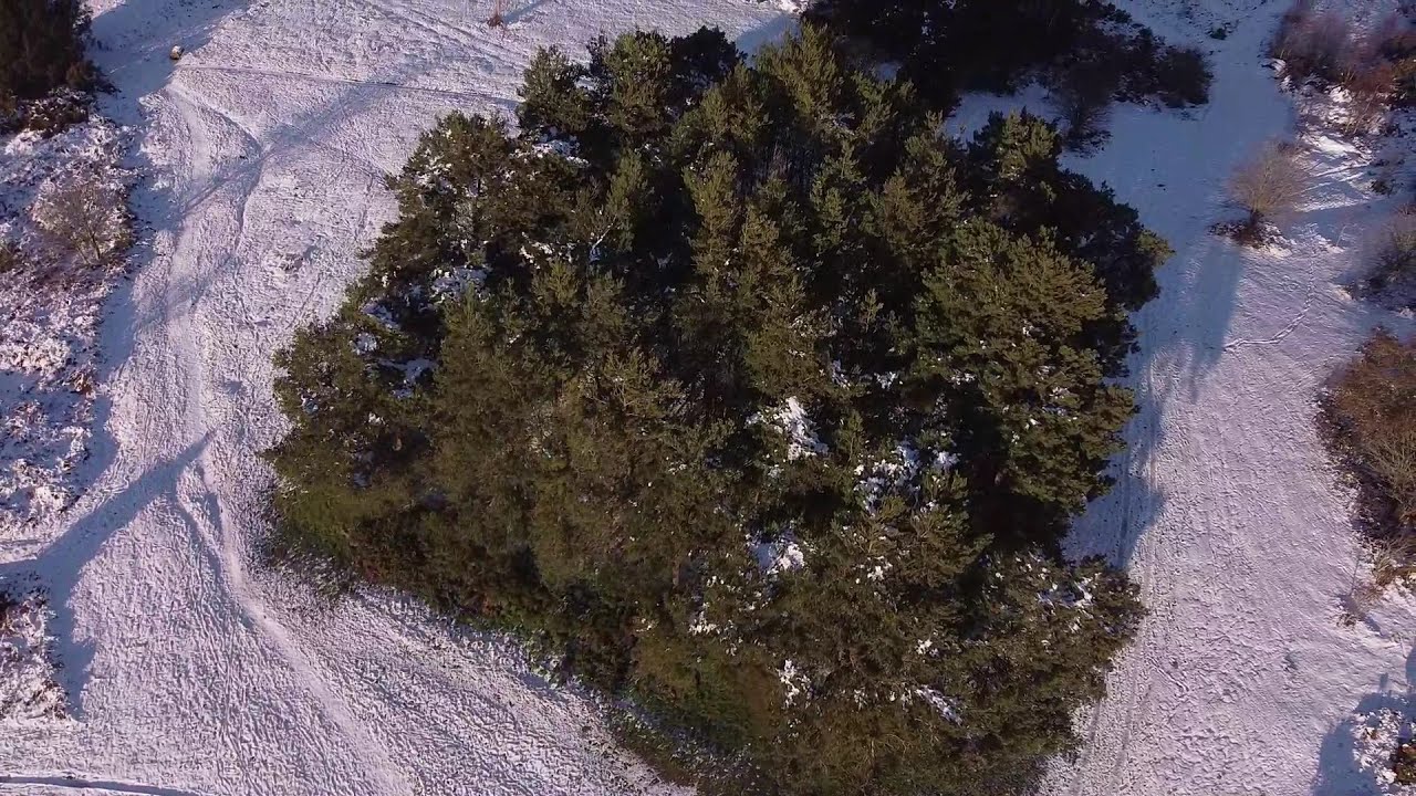 Drone Footage – Ashdown Forest – Friends Clump – 16th Dec 2022