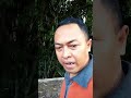 vlog mencari bahan tanaman hias dan bonsai