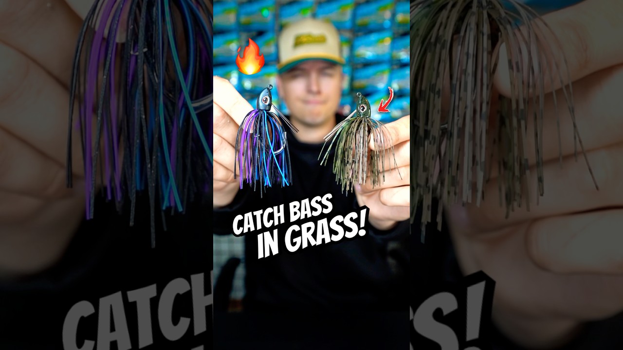 3 Baits That ALWAYS Catch Bass in Grass 🤯🎣 #fishing
