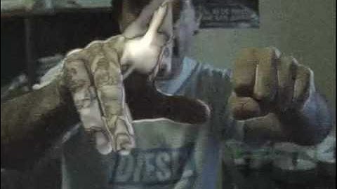 Quartz Music - Experimento 1