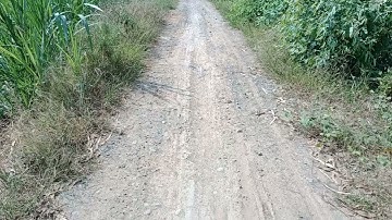 số30✔️bán lô đất ruộng.đê 3 vụ/diện tích 9.000m²/giá 150triệu 1.000m²/kiến tường