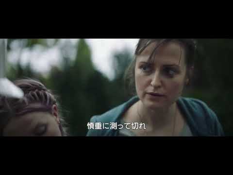 映画「サンドラの小さな家」本編映像　シーア「Titanium」使用
