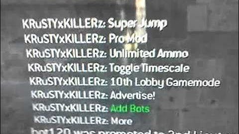 COD4 INFECTABLE MOD MENU