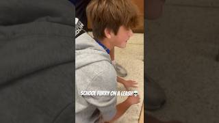 School Kid Being A Dog In Cl