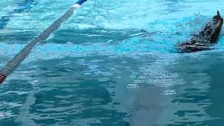 Kent performed in RQ swimming contest 2026 3
