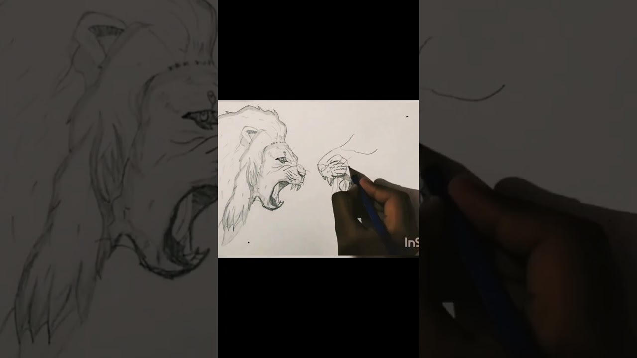 Lion vs tiger drawing